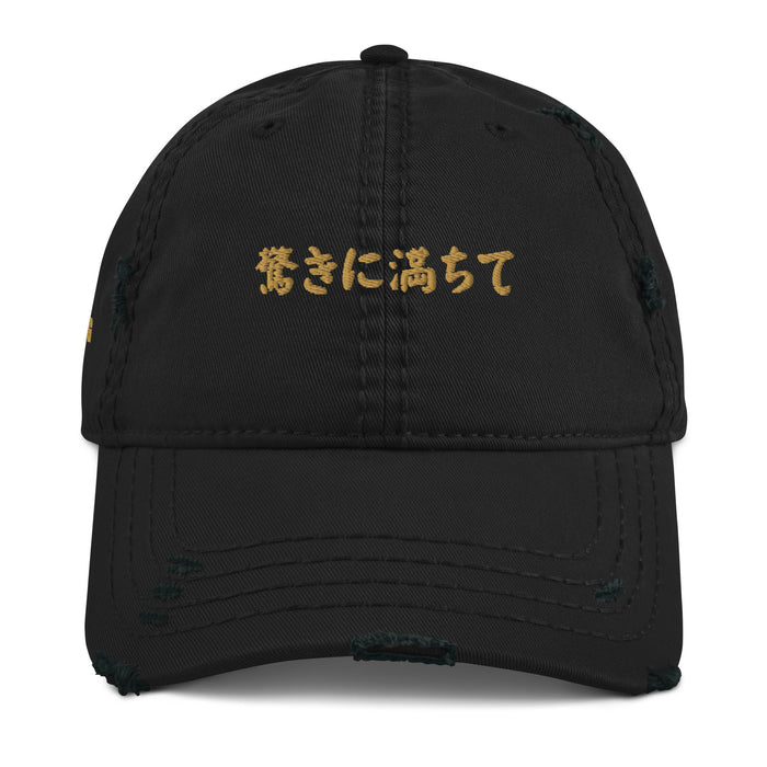 WONDER HAT (DD-JAP)